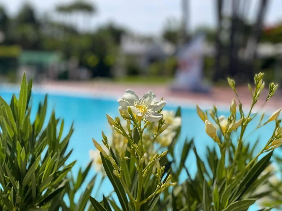 cozy&modern bungalow w/private garden bbq+wifi Maspalomas  Exterior foto